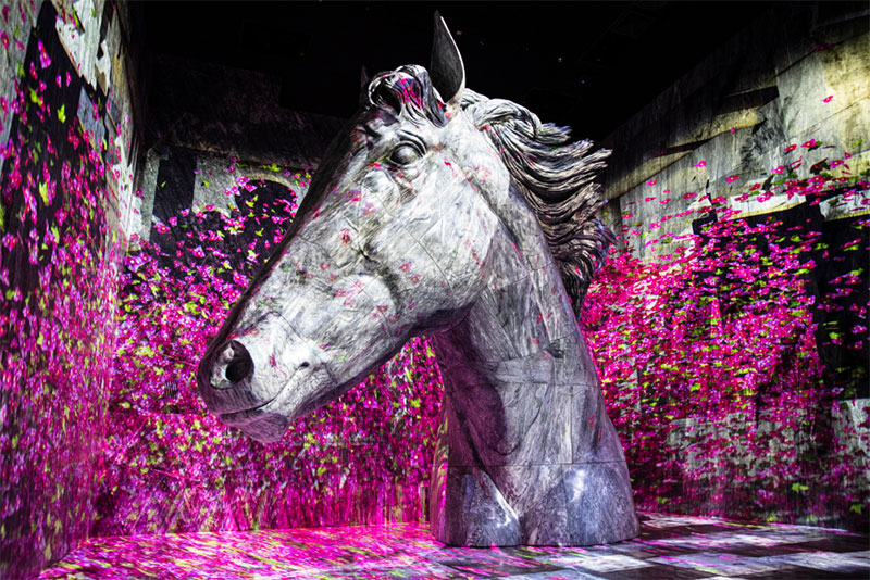 Stunning projection mapping on and around the beautiful and massive marble sculpture of Dubai Millenium, the horse beloved by Sheikh Mohammed bin Rashid Al Maktoum, illustrates a powerful story of perseverance and victory. Experience it for yourself!