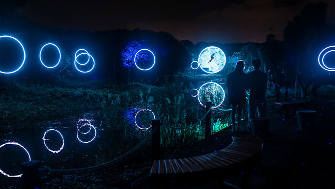 Visitors can admire spectacular projected visuals throughout the hour-long night walk in the woodland