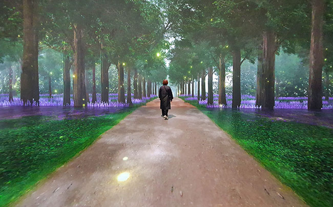 A woman walks along a path that is projected onto the floor. There are trees, flowers, and grass projected onto the wall in front of her.