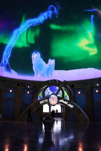 Aurora borealis and two foxes are projected onto a domed ceiling.