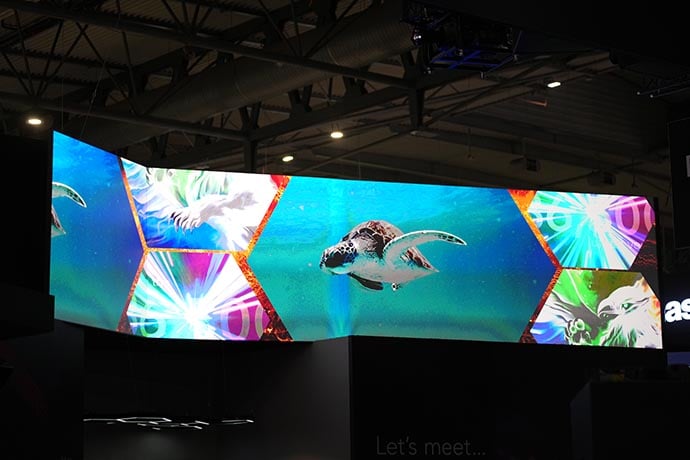 An image of a sea turtle projected onto a screen