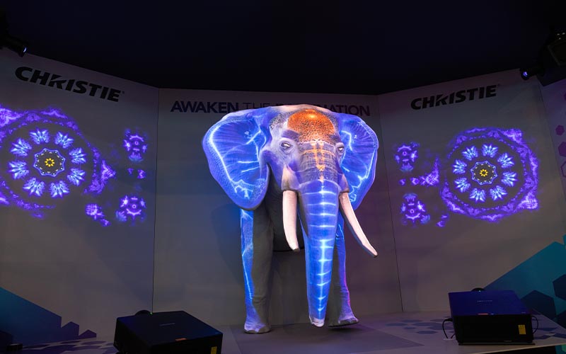 New premium Jazz projection